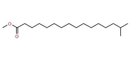 Methyl 15-methylhexadecanoate